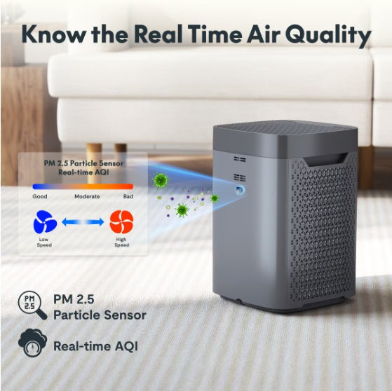 Y2-G FlowLite Air Purifier