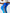 Women's High-Waisted Gradient Yoga Pants