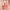 PHOFAY Moisturizing Shimmer Lip Gloss