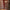 6ft Snowfield Fir Shaped Indoor Tree Light