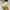 Fitness Yoga Shorts Pants Butt Lifting Seamless Leggings Women Gym
