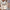 3pcs Womens Clothing Long Sleeve Crop Tank Top And Drawstring Shorts Pajama Set