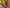 Multifunctional Slotted Spoon Grinding Cooking Spoon Mashed Auxiliary Food Ginger Garlic Spoon Press Potatoe Stir-frying Spatula Kitchen Gadget