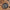 11 Cast Iron Wok With Dual Handles And Wooden Lid, Uncoated Frying Pan