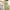 Fitness Yoga Shorts Pants Butt Lifting Seamless Leggings Women Gym