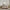 12 Piece Comforter Set With Cotton Bed Sheets