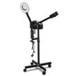 Beauty Lamp With 3x Magnifying Mirror