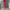 Women's Solid Color Round Neck Short Sleeve Dress With Side Slit