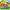 8 In 1 Inflatable Bounce House