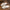 Summer Slipper Indoor House Shoes For Men Women Couples Solid Color Rhombus Striped Non-slip Bathroom Slippers