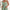Women's Clothing Elegant Solid Color Metal Strap Pocket Short Casual Jumpsuit