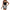 Women's floral 2 Piece Lounge Set