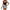 Women's floral 2 Piece Lounge Set
