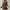 Women's Leopard Print Ruffle Hem Long Sleeve V Neck Belted A Line Dress