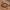 11 Cast Iron Wok With Dual Handles And Wooden Lid, Uncoated Frying Pan