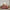 12 Piece Comforter Set With Cotton Bed Sheets